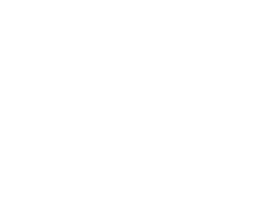 Linda Wang_Logo-white-02